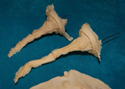 Photo by It's A Wrap!